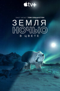 Земля ночью в цвете смотреть онлайн